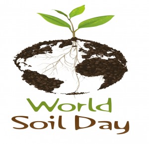 World Soil Day