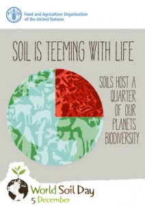 World Soil Day 4