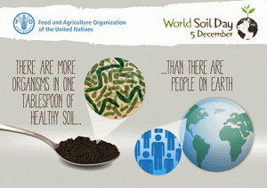 World Soil Day 6